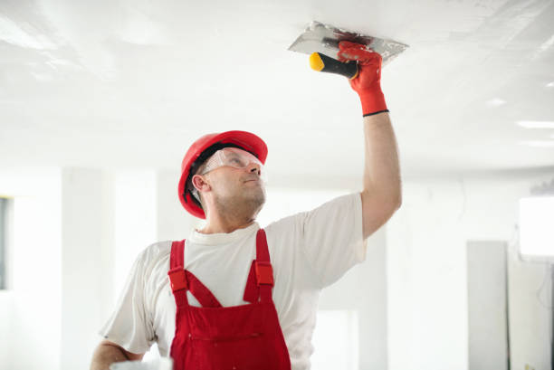 Best Drywall Sanding and Smoothing  in Wanaque, NJ